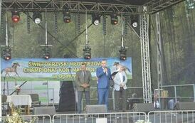 XXIII Świętokrzyski Młodzieżowy Championat Koni Małopolskich w Opatowcu - dzień II aparat 4 75