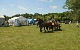 XXIII Świętokrzyski Młodzieżowy Championat Koni Małopolskich w Opatowcu - dzień II aparat 4 73