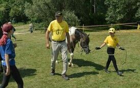 XXIII Świętokrzyski Młodzieżowy Championat Koni Małopolskich w Opatowcu - dzień II aparat 4 67