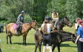 XXIII Świętokrzyski Młodzieżowy Championat Koni Małopolskich w Opatowcu - dzień II aparat 4 66