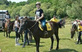 XXIII Świętokrzyski Młodzieżowy Championat Koni Małopolskich w Opatowcu - dzień II aparat 4 65