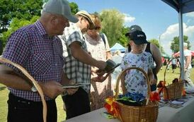XXIII Świętokrzyski Młodzieżowy Championat Koni Małopolskich w Opatowcu - dzień II aparat 4 61
