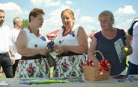 XXIII Świętokrzyski Młodzieżowy Championat Koni Małopolskich w Opatowcu - dzień II aparat 4 60