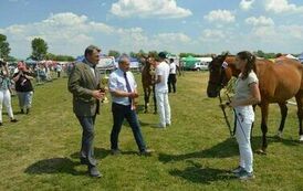 XXIII Świętokrzyski Młodzieżowy Championat Koni Małopolskich w Opatowcu - dzień II aparat 4 53