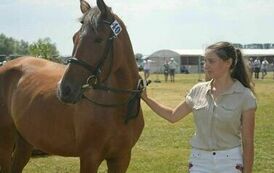 XXIII Świętokrzyski Młodzieżowy Championat Koni Małopolskich w Opatowcu - dzień II aparat 4 50