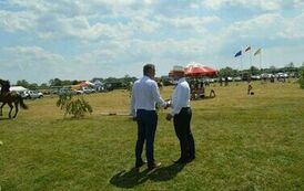 XXIII Świętokrzyski Młodzieżowy Championat Koni Małopolskich w Opatowcu - dzień II aparat 4 26