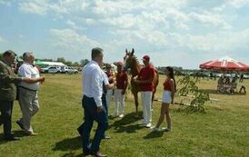 XXIII Świętokrzyski Młodzieżowy Championat Koni Małopolskich w Opatowcu - dzień II aparat 4 20