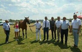 XXIII Świętokrzyski Młodzieżowy Championat Koni Małopolskich w Opatowcu - dzień II aparat 4 18
