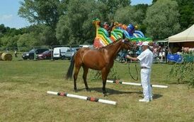 XXIII Świętokrzyski Młodzieżowy Championat Koni Małopolskich w Opatowcu - dzień II aparat 4 02