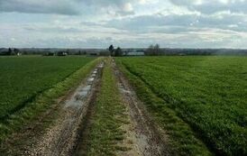 Nowy asfalt na drodze gminnej w miejscowości Charbinowice 11