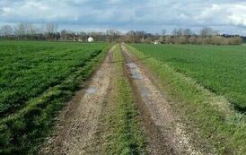 Nowy asfalt na drodze gminnej w miejscowości Charbinowice 10