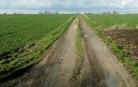 Nowy asfalt na drodze gminnej w miejscowości Charbinowice 09