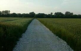 Nowy asfalt na drodze gminnej w miejscowości Charbinowice 07