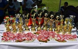 &bdquo;Lato na zdrowo i sportowo&rdquo; w Krzczonowie 31