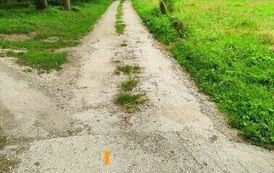 Remont drogi gminnej w miejscowości Urzuty 01