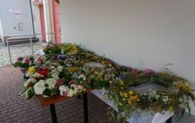 Wianki nad Wisłą w Opatowcu 09