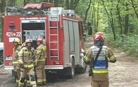 Ćwiczenia taktyczno-bojowe na terenie gminy Opatowiec 10