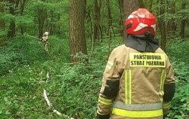 Ćwiczenia taktyczno-bojowe na terenie gminy Opatowiec 02