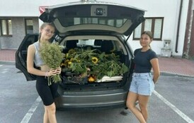 II edycja warsztat&oacute;w wokalnych Śpiewaj i tańcz 11