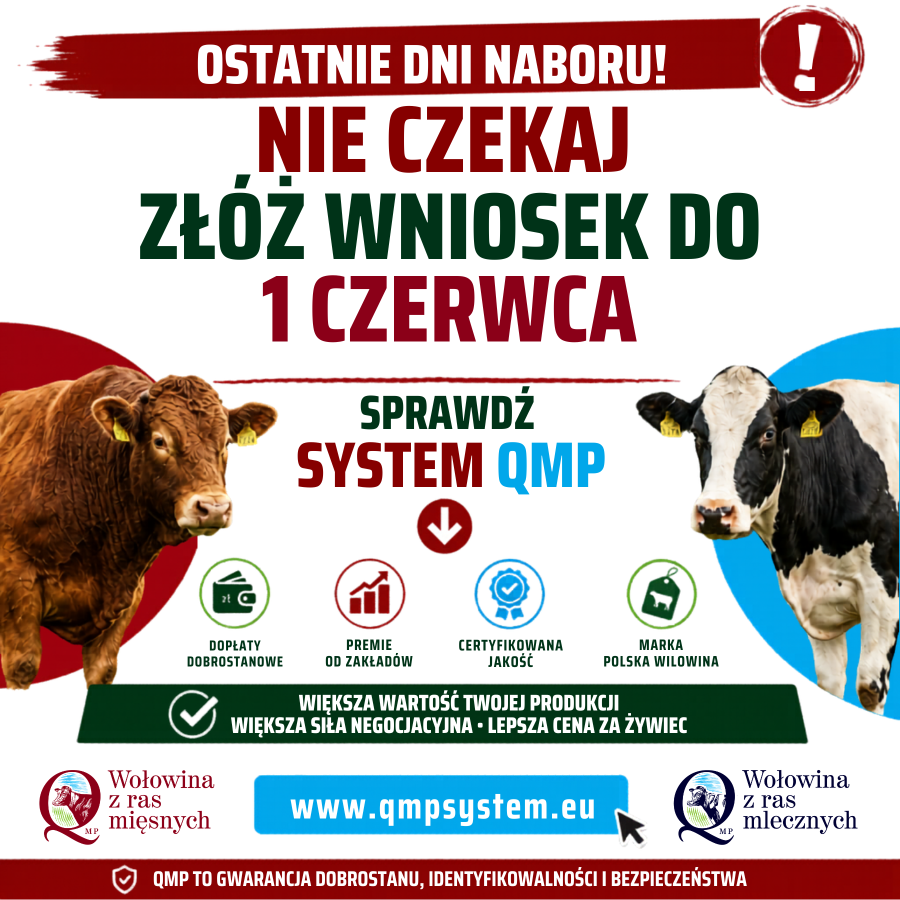 Ekoschemat &bdquo;Dobrostan zwierząt&rdquo; Dodatkowe pieniądze dla hodowc&oacute;w z&nbsp;QMP &ndash; tylko do 1 czerwca!