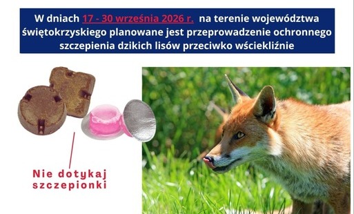 Komunikat Świętokrzyskiego Wojewódzkiego Lekarza Weterynarii