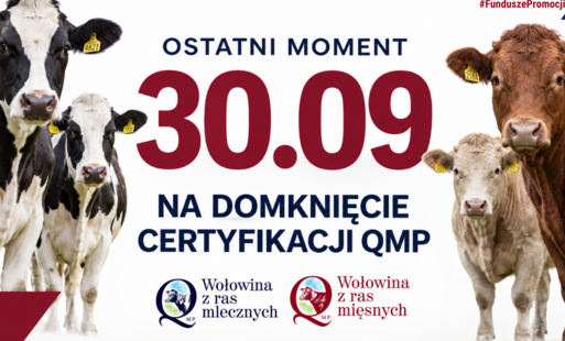 Certyfikat QMP — termin uzyskania upływa 30 września 2026 r.